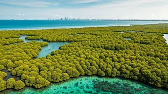 Godrej's Vow: Safeguarding Mumbai's Mangroves Over Vikhroli Development