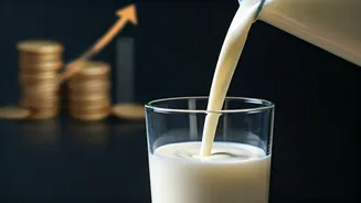 Milk Prices Rise by Rs 2/Litre: Amul & Mother Dairy Announce Second Hike in 13 Months