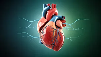 Everyday Choices Matter Most For Lasting Heart Health