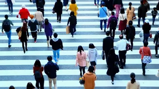 Arenillas' Population Plan Attracted Up to 8,000 Applications
