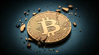 Crypto's Wild Ride: A Look at Bitcoin's Plunge & Investor Impacts