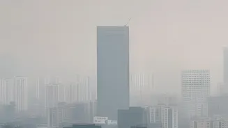 How Unseen Fine Micro-Pollutants In Heavy Smog Silently Drain Brain Energy And Focus Daily