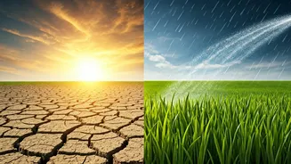 Why India's Rainfall Shift Matters Beyond The Weather