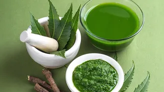 How To Master Natural Home Garden Pest Protection Easily Using Homemade Organic Neem Oil Sprays Today