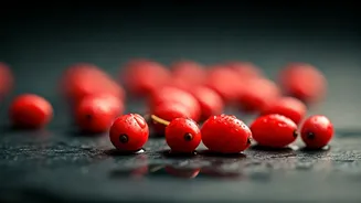 Barberry: The Tangy Superfood Unveiled for Health and Culinary Delights