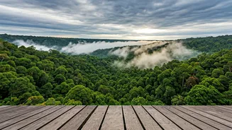 Walk Above India's Greenest Monsoon Landscapes