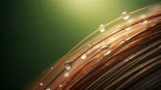 Why Healthy Hair Still Falls During Monsoon