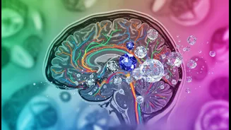 Human Behaviour Can Change when Sweeteners Replace Other Foods or Drinks