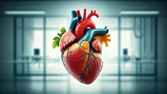 Immunity Boosters: A Surgeon's Simple Truth on Real Immune Health