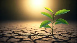 Related Stories banner