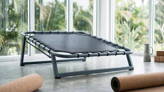 Inside Aerobics Vs Trampolining For Cardio: Why Neither Activity Has A Universal Winner