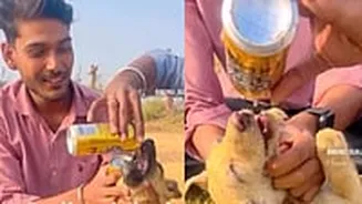 Man Forces Stray Puppy To Drink Canned Liquid: Netizens Claim It Was Alcohol & Demand Strict Action
