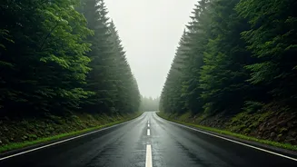 Green Roads And Mist Are Weekend Travel Gold