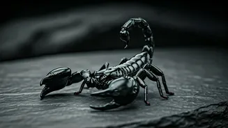 Scorpio: See Your Horoscope for October 2025