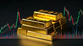 Navigating the Indian Market: Funds, Indices & IPOs