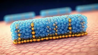 Why Ceramides Deserve A Spot In Your Routine