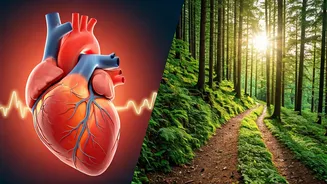 Hiking vs. Running: Unveiling the Superior Heart Health Benefits of Trails