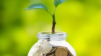 What The $28 Billion FCNR Deposit Surge Reveals About Currency Choice In NRI Fixed Deposits
