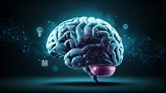 Forgetful in Your 30s? AIIMS Neurologist Clarifies Dementia Fears & Offers Solutions