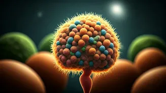 Fullness And Digestion Are Driving Food Choices