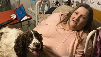 Comfort companions chatbots ease loneliness for Yvonne Stride, 71