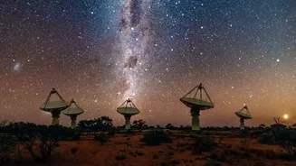 PLATO's Ground Campaign Shows Why Spacecraft Electronics Cannot Be Checked Separately