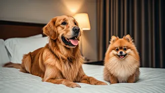 Pet-Friendly Travel Is Moving Mainstream In India