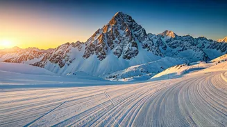 Related Stories banner