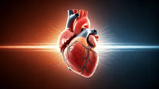 From German Comfort to Indian Vibrancy: A Couple's Bold Leap for Growth