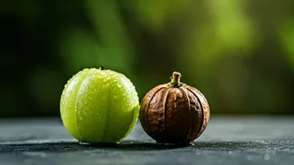 Kashmera Shah's Ageless Secret: Embrace Natural Goodness Over Injections at 53