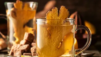 Elevate Daily Health Habits With Five Natural Lemon-Ginger Drink Recipes You Can Trust