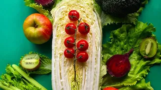 How Eating Probiotic Foods Improves Gut-Brain Axis And Daily Mental Focus