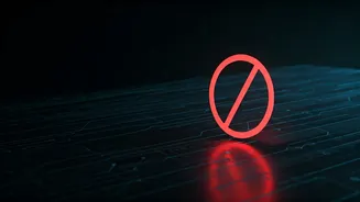 WhatsApp's February 2026 Purge: Over 54 Lakh Indian Accounts Banned for Misuse