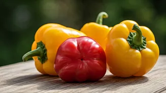 Capsicum Secrets: Unlocking Sweetness & Culinary Perfection with the 'Bump' Rule!