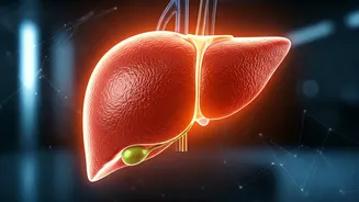 Silent Liver Threat: One in Four Diabetics in India May Have Hidden Liver Damage