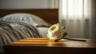 This Simple Morning Breathing Habit Rules Post Yoga Day Tutorials