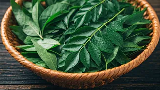 Tulsi And Curry Leaves Can Feed Your Week