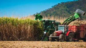 India's 1st biopolymer plant expected to open in Lakhimpur Kheri