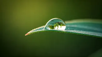 Navigating Life's Unfairness: 4 Bhagavad Gita Verses for Resilience and Peace