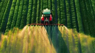Rainfall Gaps Could Affect Crop Yields Across India