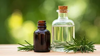 Rosemary: Which Is Best for Hair and Skin?