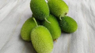 Why you should start eating spiny gourd