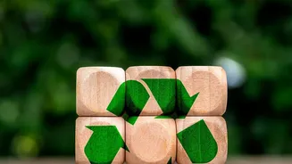 How Compressed Agricultural Waste Replaces Plastic Wall Foam In Apartment Studio Insulation