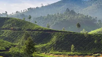 Choose These Five Hill Stations for a Less Rushed Holiday