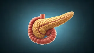 Sleep and Insulin Sensitivity: The Critical Link