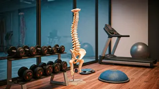 Movement And Recovery Become Core Professional Choices For Youth