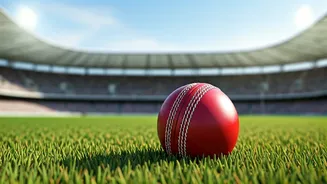 Vidya Wires IPO: Key Insights and Subscription Status