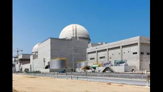 'Unacceptable': India Condemns Drone Attack On UAE’s Barakah Nuclear Facility, Calls For Restraint
