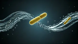 Monsoon Gut Health: Shield Your Digestive System from Seasonal Infections