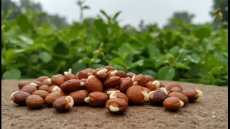 Why Nutrition Experts Are Talking About Horse Gram This Monsoon